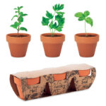Set 3 ghivece cu semințe plante aromatice